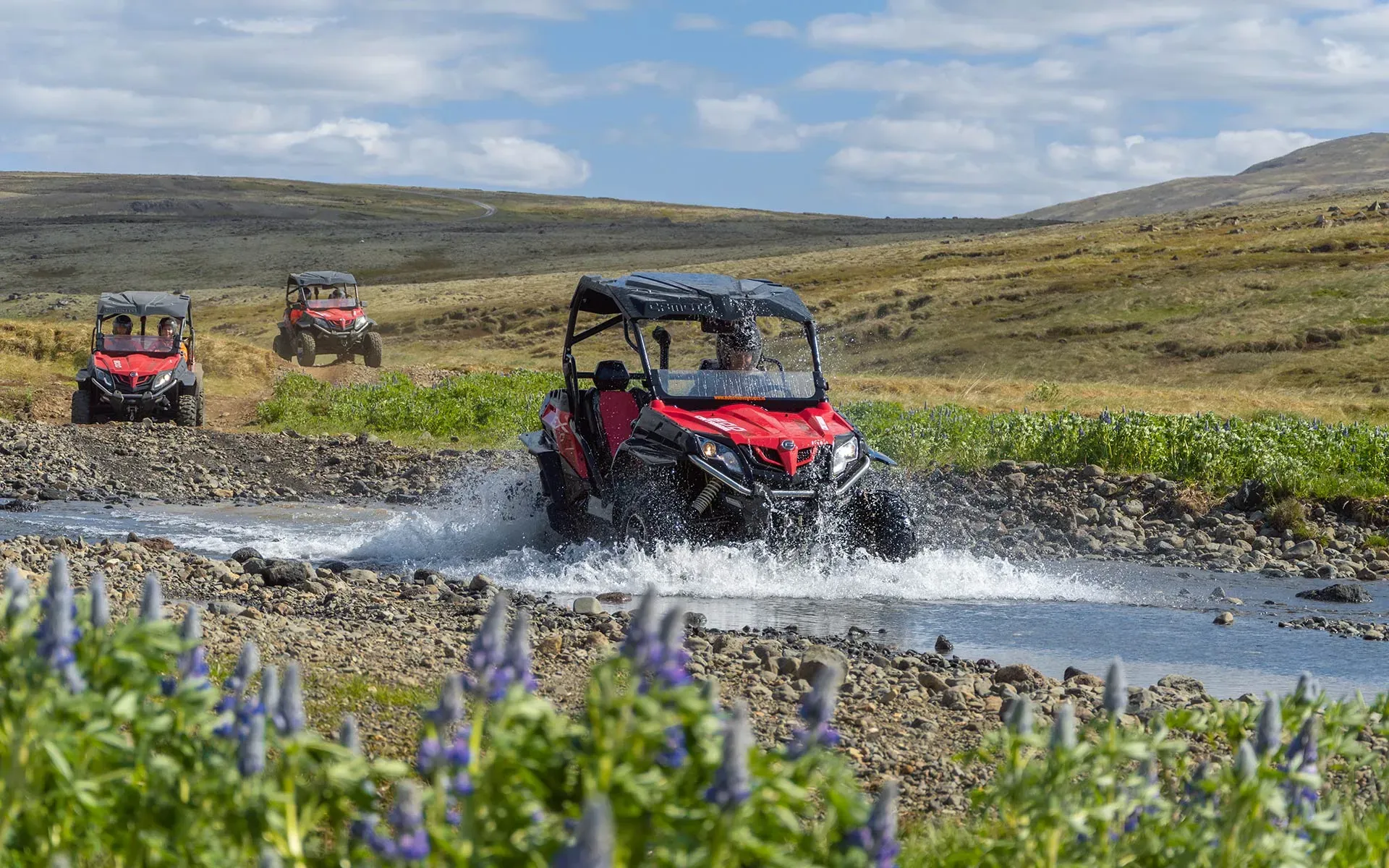 Three buggies crossing a river with lupins in the foreground