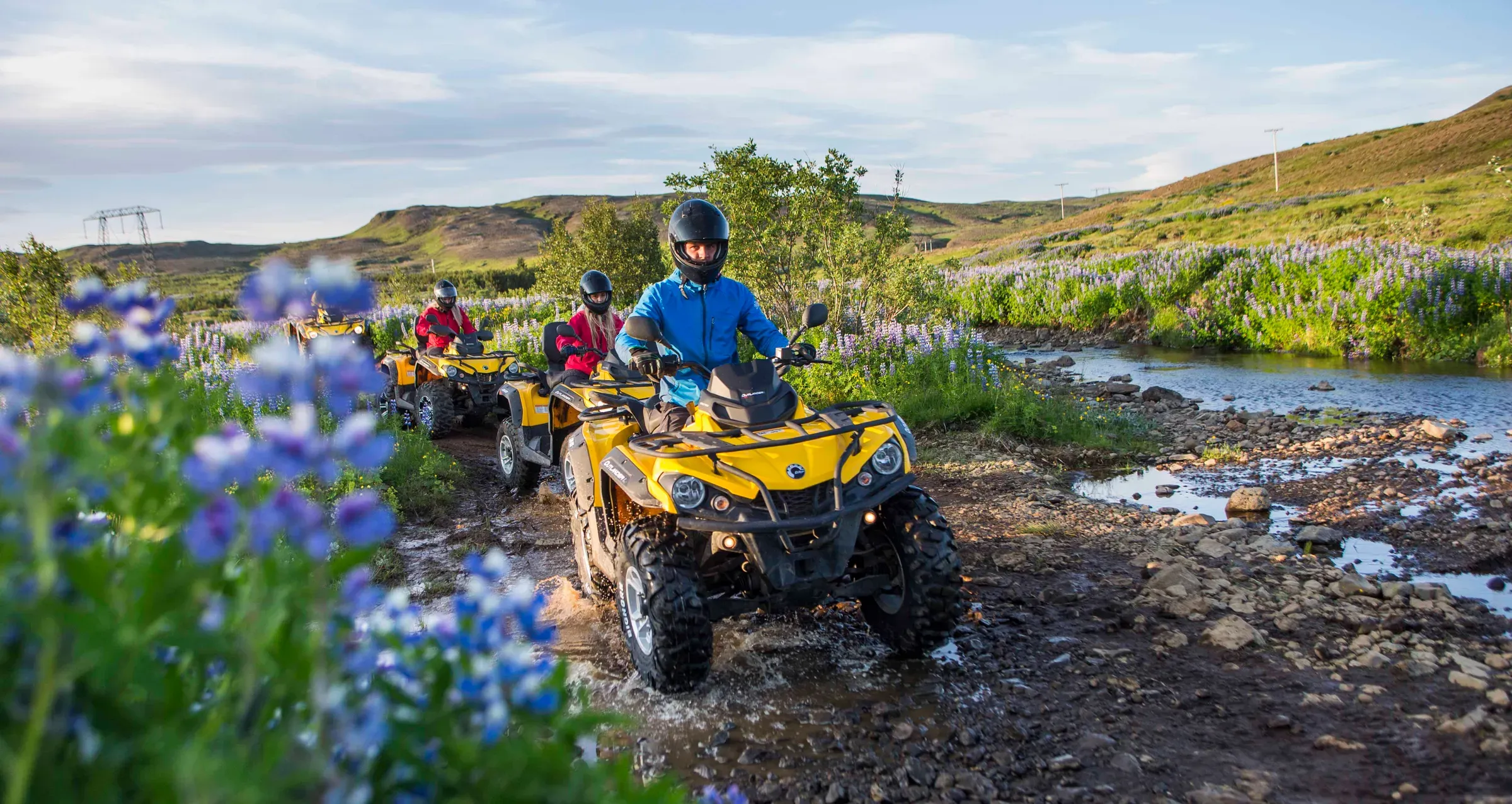 Line of ATVs riding along a stream through lupins